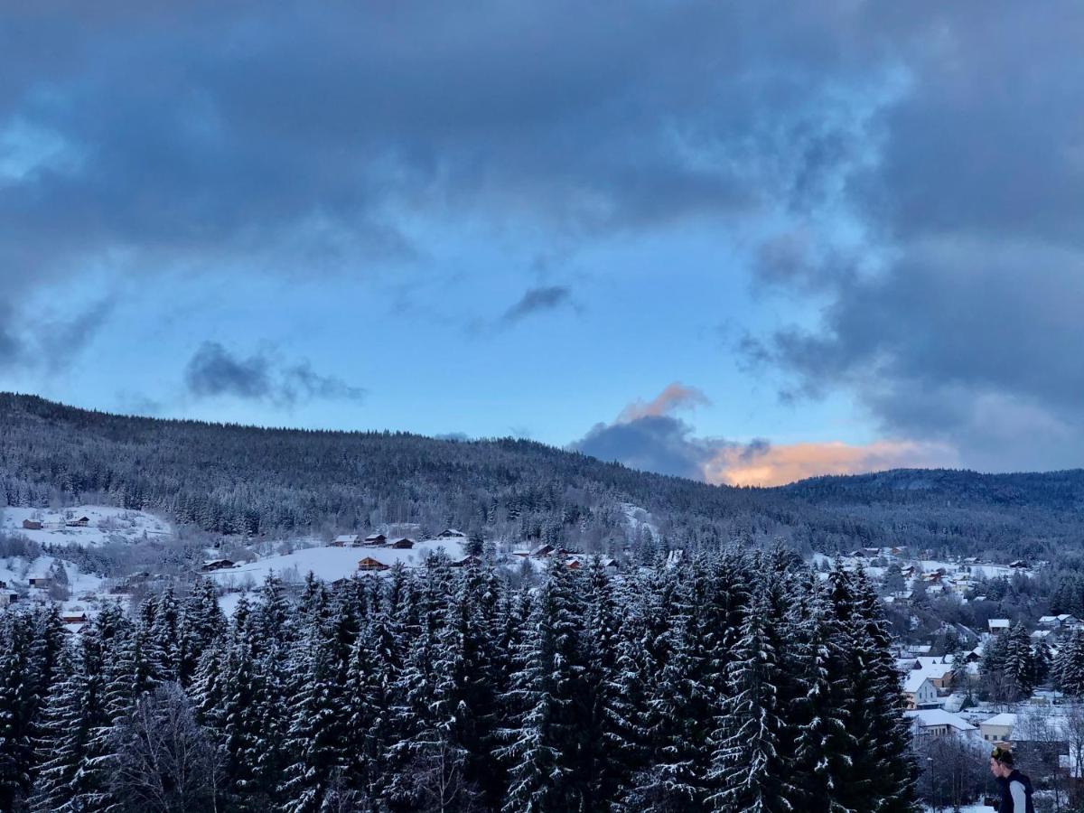 Le Bois Des Neiges Charmant Chalet Authentique A 5 Mn De Gerardmer Xonrupt-Longemer Luaran gambar