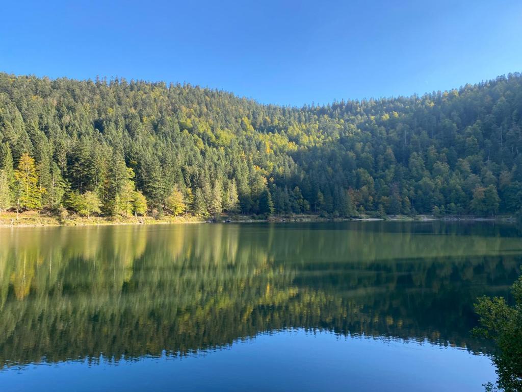 Le Bois Des Neiges Charmant Chalet Authentique A 5 Mn De Gerardmer Xonrupt-Longemer Luaran gambar